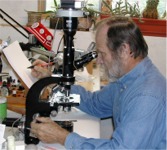 Dr Burdsall at microscope