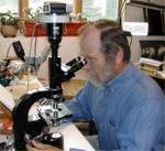 Mycologist examining fungi